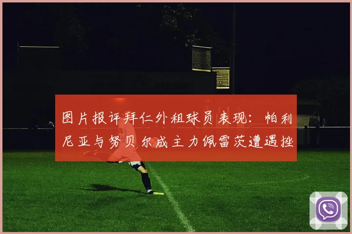 图片报评拜仁外租球员表现：帕利尼亚与努贝尔成主力佩雷茨遭遇挫折